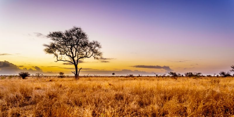 Kruger Enquiry Photo