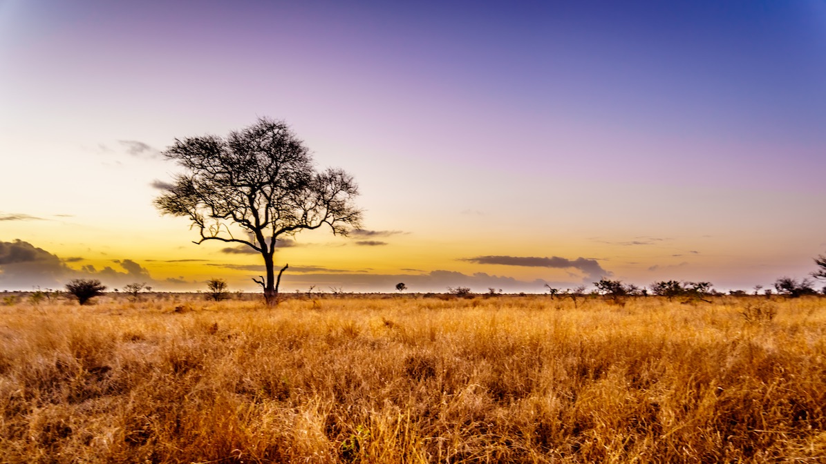 Kruger Enquiry Photo