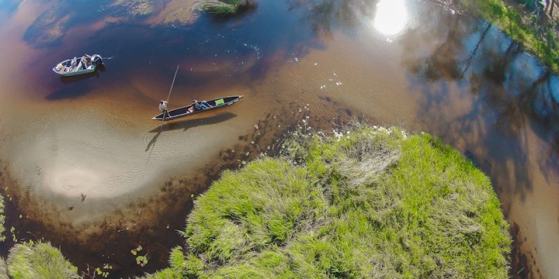 Okavango Delta Banner Photo