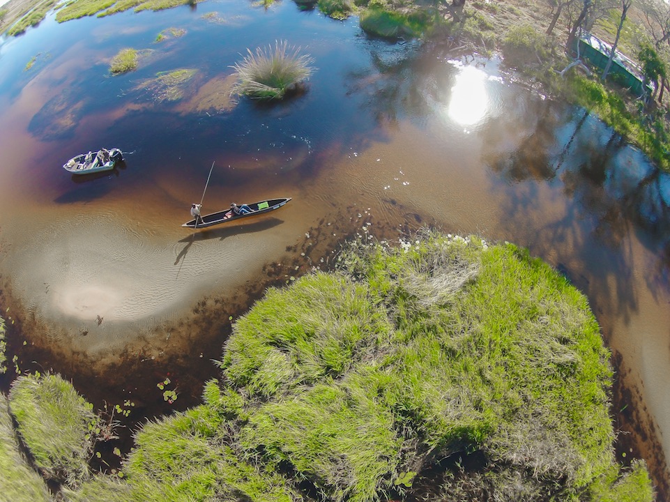 Okavango Delta Banner Photo