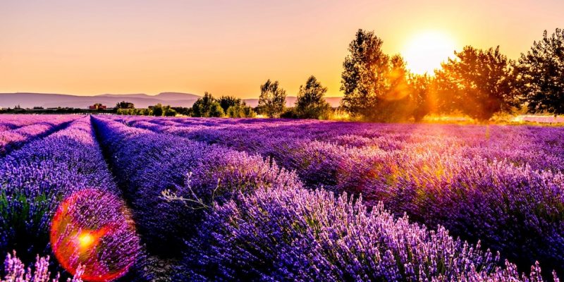 Provence Blog Photo