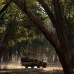 Amanzi Bush Camp Game Drive