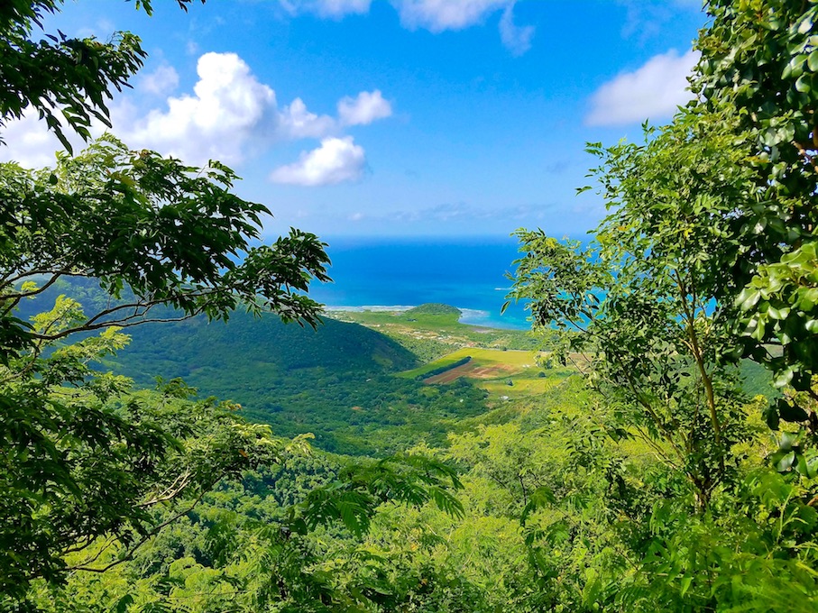 Antigua Coast from Obama Park