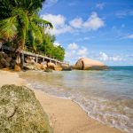 Coco de Mer & Black Parrot Jetty