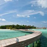 Constance Moofushi View