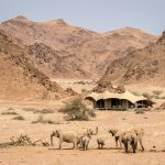 Hoanib Skeleton Coast Camp