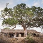 Kigelia Ruaha Exterior