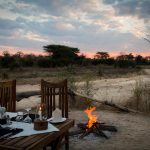 Kigelia Ruaha In The Wild