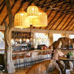 Little Madikwe Private Camp Bar