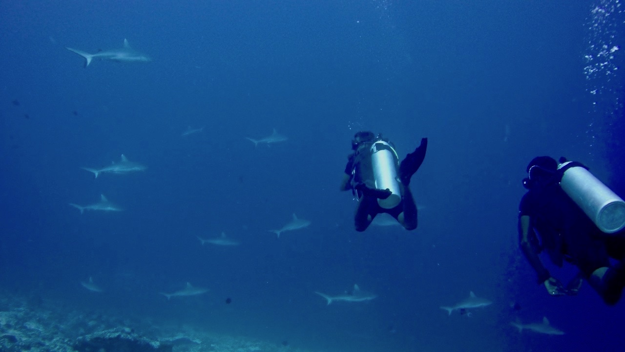 Maldives Diving