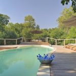 &Beyond Lake Manyara Tree Lodge Pool