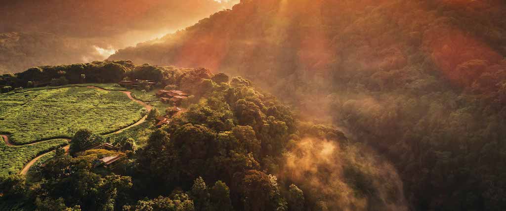 One&Only Nyungwe House Drone