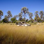 Sanctuary Stanley's Camp Game Drive