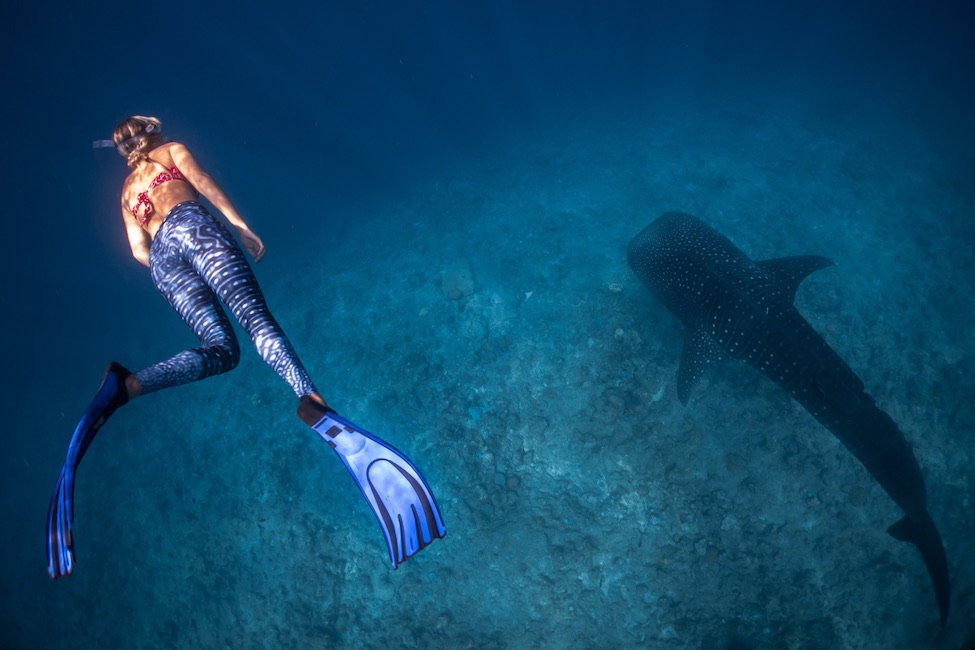 Underwater Maldives Blog