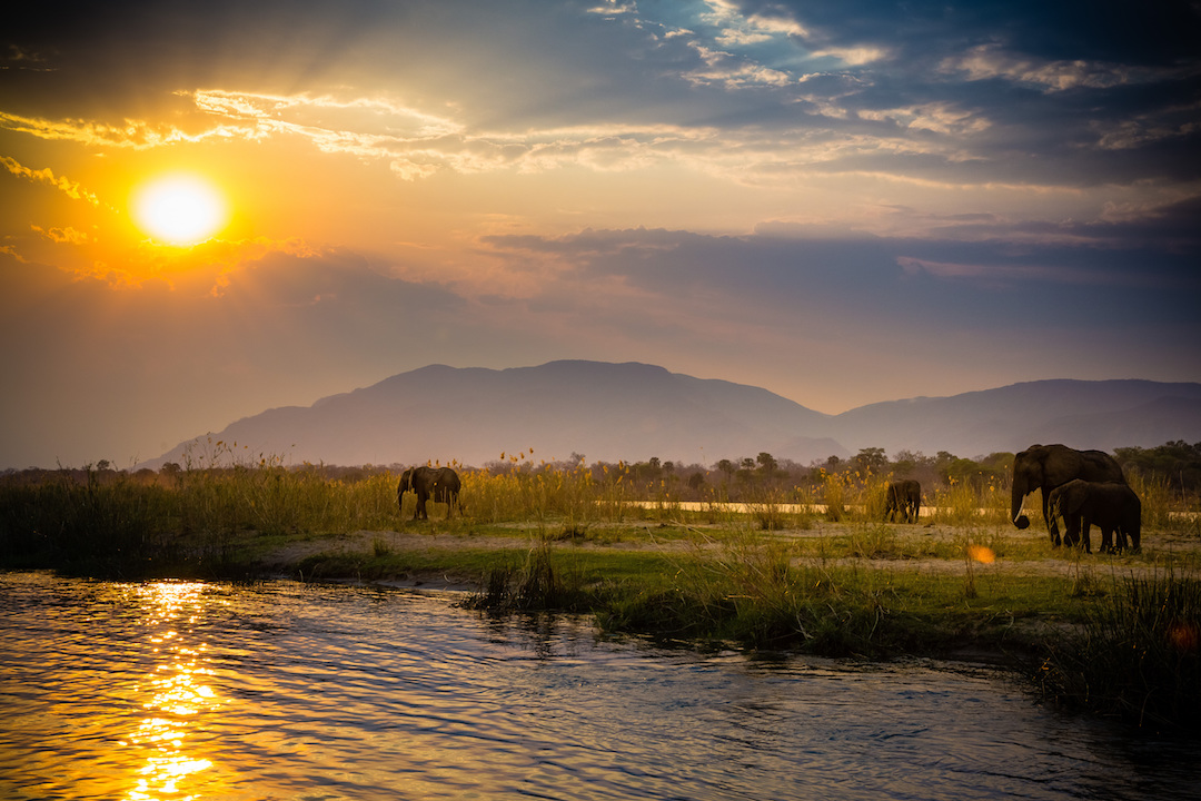 Zambezi Banner Photo