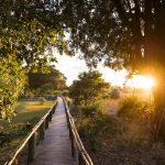 Amanzi Bush Camp Lodge Walkway