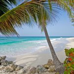 Turtle Beach Elegant Hotels Beach