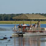 Chobe Game Lodge Family Safari