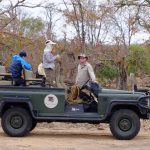 Bateleur Safari Camp Game Drive