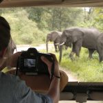 &Beyond Lake Manyara Tree Lodge Safari