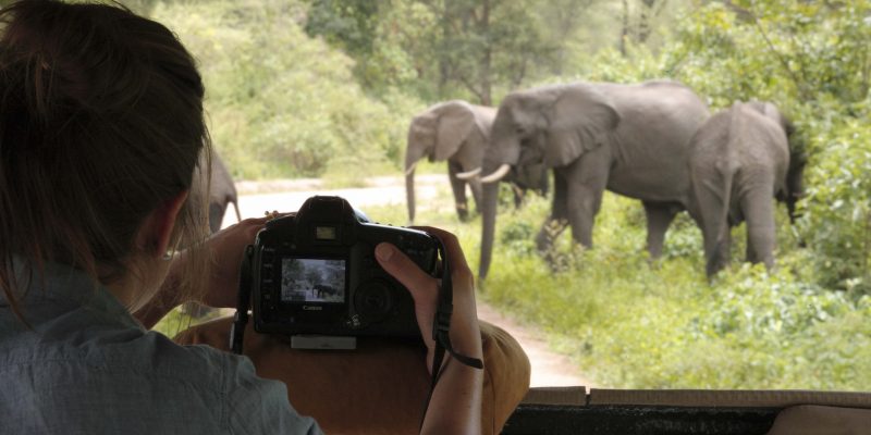 &Beyond Lake Manyara Tree Lodge Safari