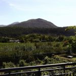 Franschoek Country House Balcony Views