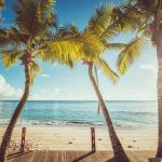 FAQs Banner Photo - Carana Beach