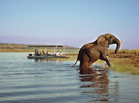 Chobe National Park Thumbnail