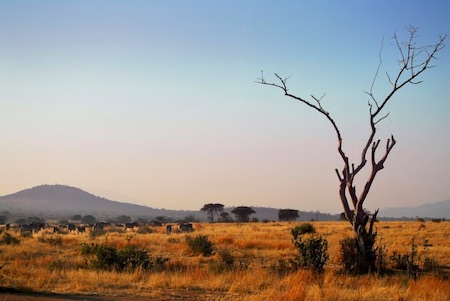 Ruaha National Park Thumbnail Compressed copy