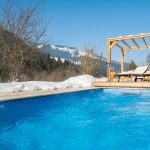 Chalet Twenty26 Pool