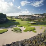 Sandy Lane Barbados Green Monkey Hole