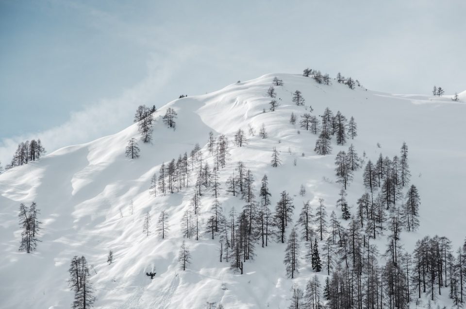 Inclusive chalets in The Grand Massif