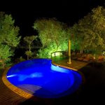 Elephant Plains Game Lodge Pool