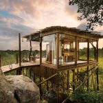 Lion Sands Ivory Lodge Tree House