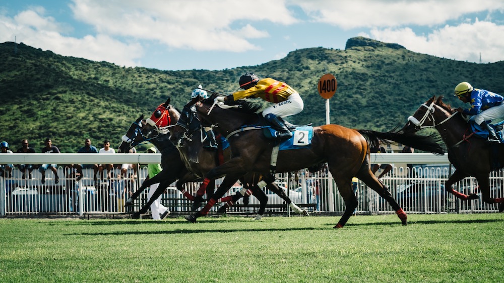 Mauritius Horses