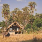 Belmond Eagle Island Lodge Suite