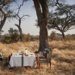 Belmond Savute Elephant Lodge Dining