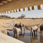 Belmond Savute Elephant Lodge Watering Hole
