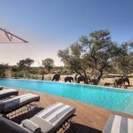 &Beyond Ngala Safari Lodge Swimming Pool