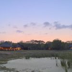 &Beyond Phinda Zuka Lodge Watering Hole