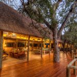 Camp Moremi Main Lodge