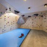 Chalet Alpaca Climbing Wall