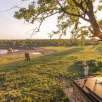 Jamala Madikwe Watering Hole