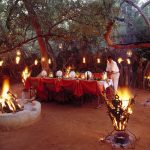 Sanctuary Makanyane Safari Lodge Dining