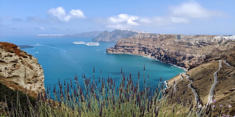 Santorini Vineyard View