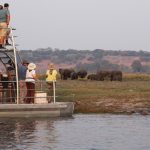 Tlouwana Camp Elephants