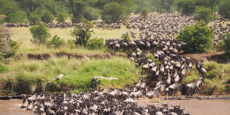 Great Migration