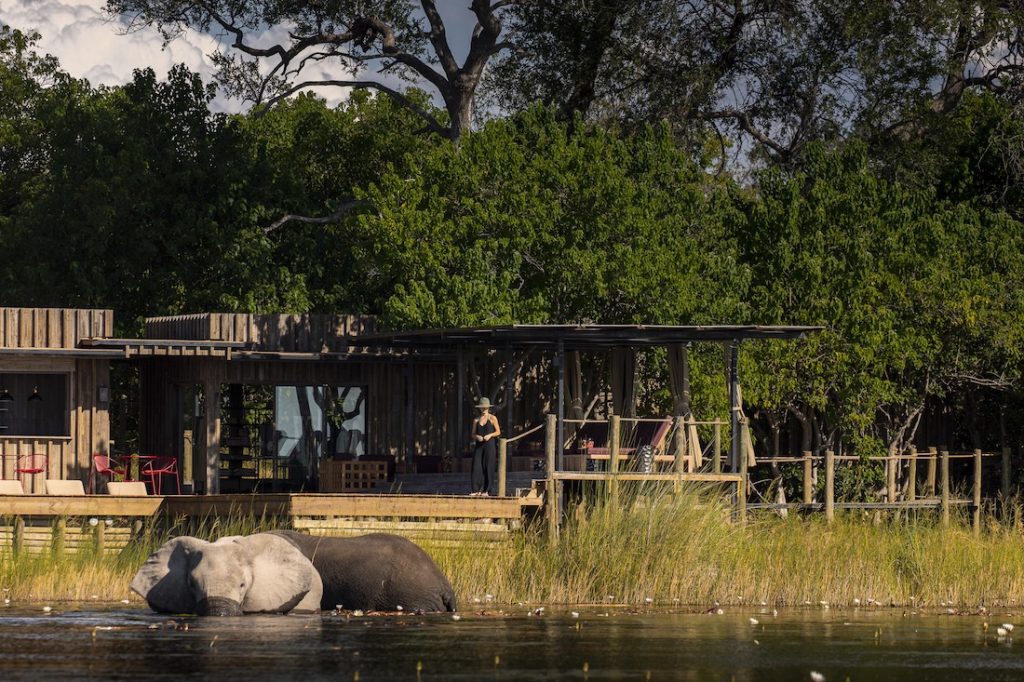 Little DumaTau Camp Elephant